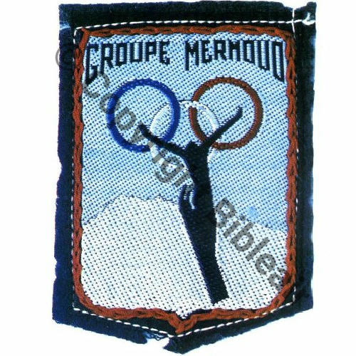 Grpt DAUPHINE Gpe MERMOUD a BEZ Gpe de competition du Gpt TISSU Sc.S&T